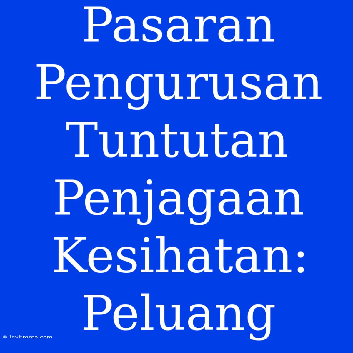 Pasaran Pengurusan Tuntutan Penjagaan Kesihatan: Peluang