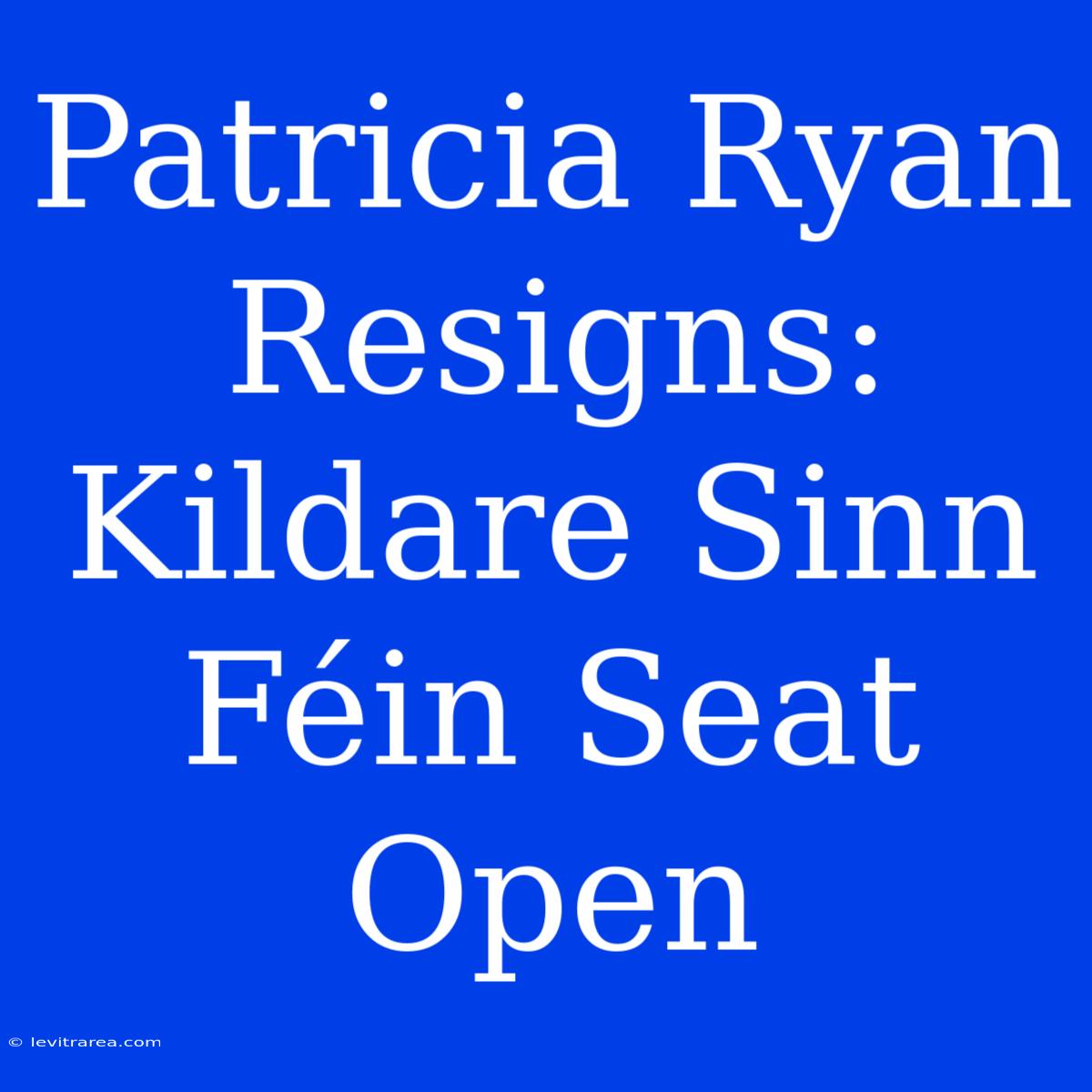 Patricia Ryan Resigns: Kildare Sinn Féin Seat Open