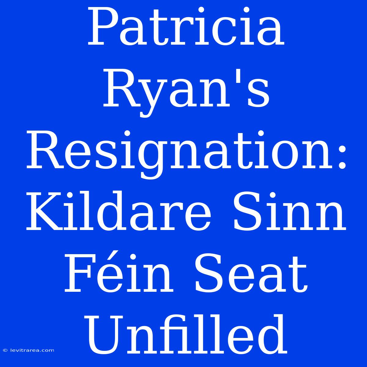 Patricia Ryan's Resignation: Kildare Sinn Féin Seat Unfilled 