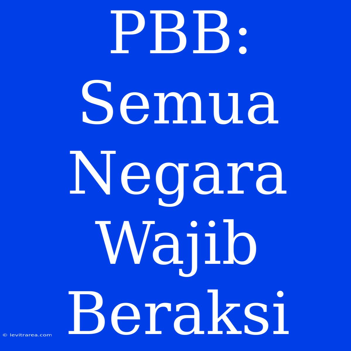 PBB: Semua Negara Wajib Beraksi