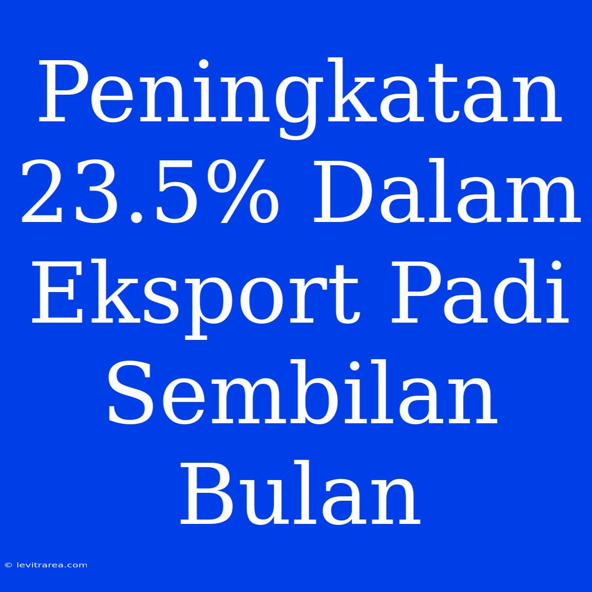 Peningkatan 23.5% Dalam Eksport Padi Sembilan Bulan