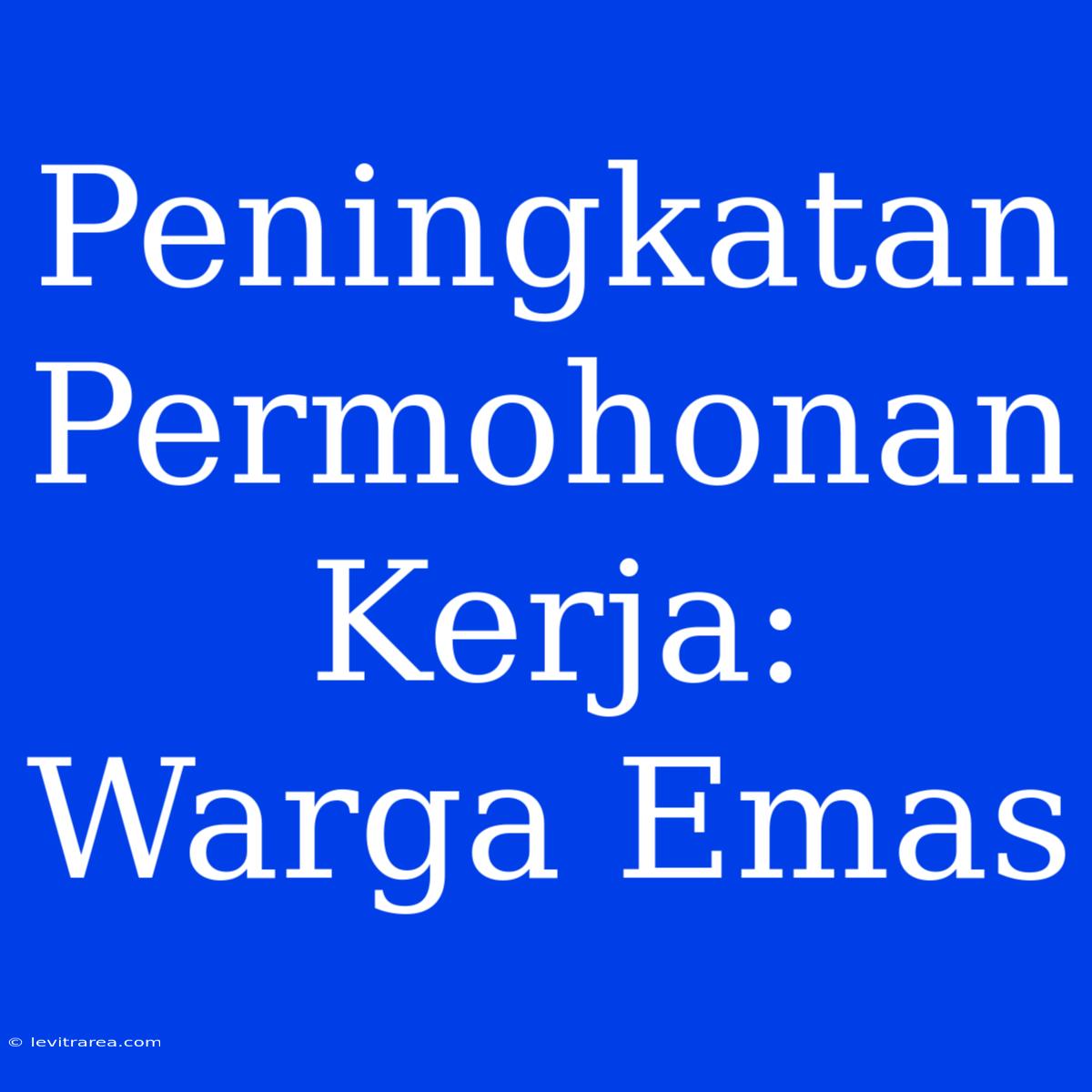 Peningkatan Permohonan Kerja: Warga Emas