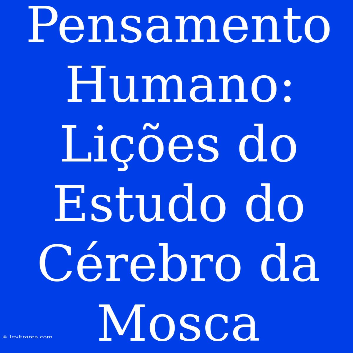 Pensamento Humano: Lições Do Estudo Do Cérebro Da Mosca