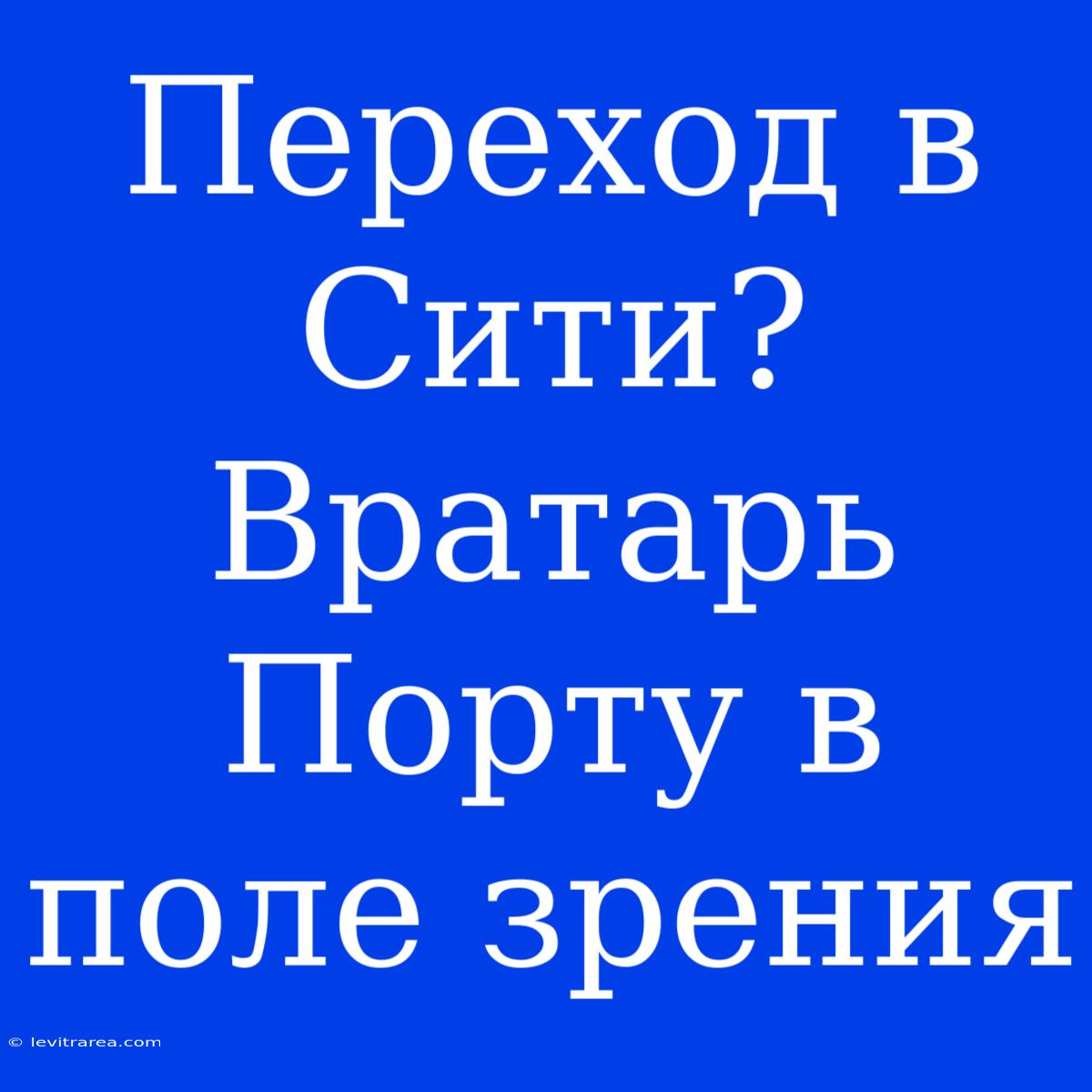 Переход В Сити? Вратарь Порту В Поле Зрения