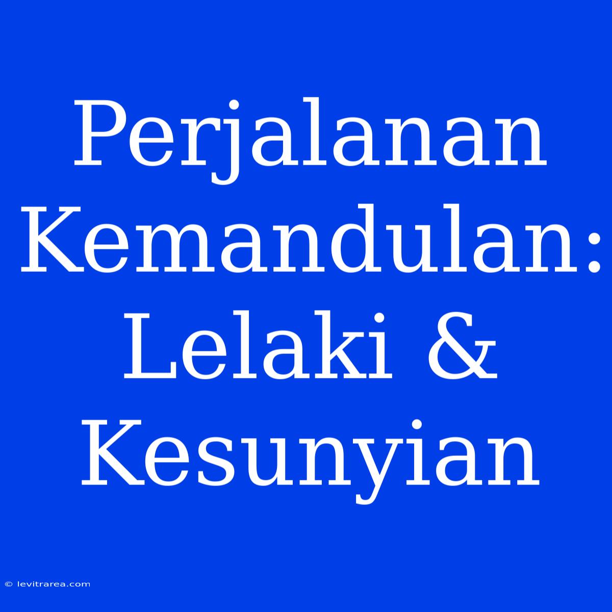 Perjalanan Kemandulan: Lelaki & Kesunyian