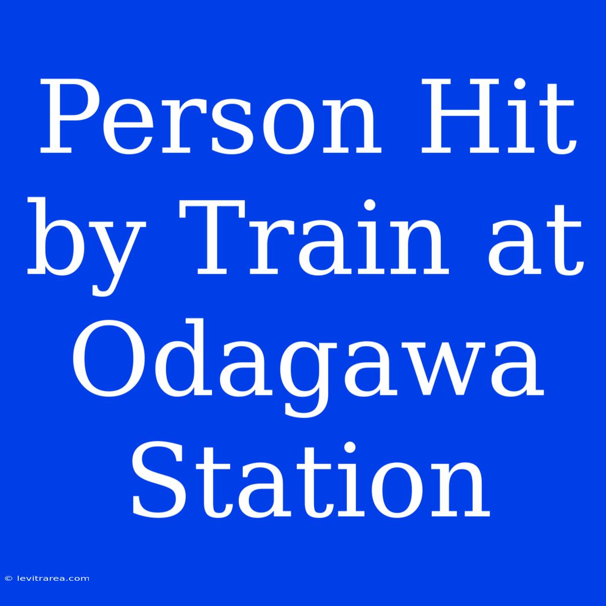 Person Hit By Train At Odagawa Station