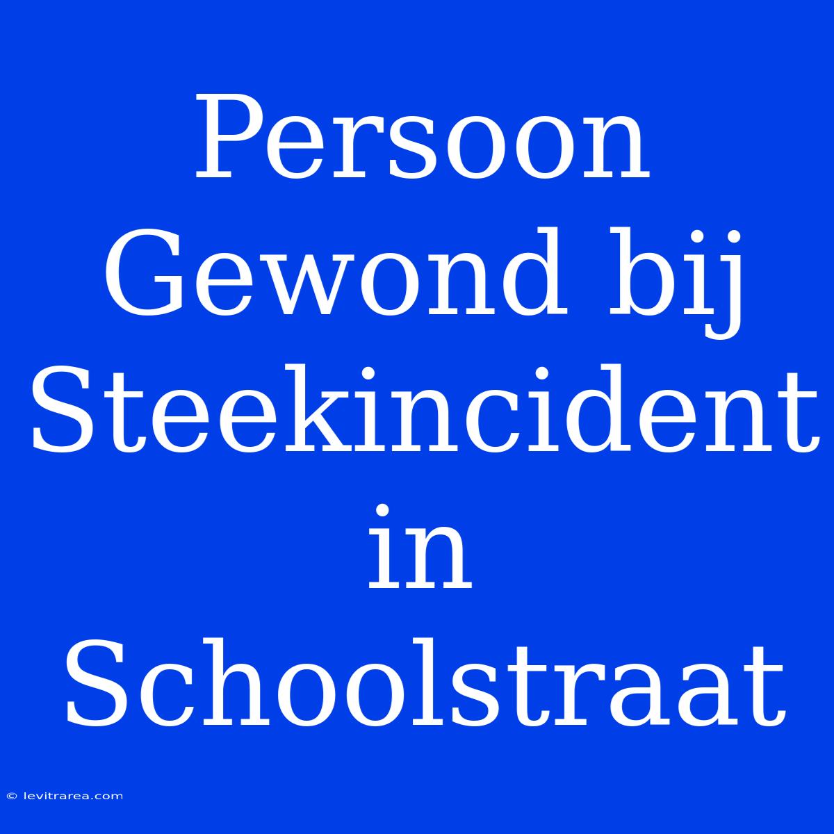 Persoon Gewond Bij Steekincident In Schoolstraat