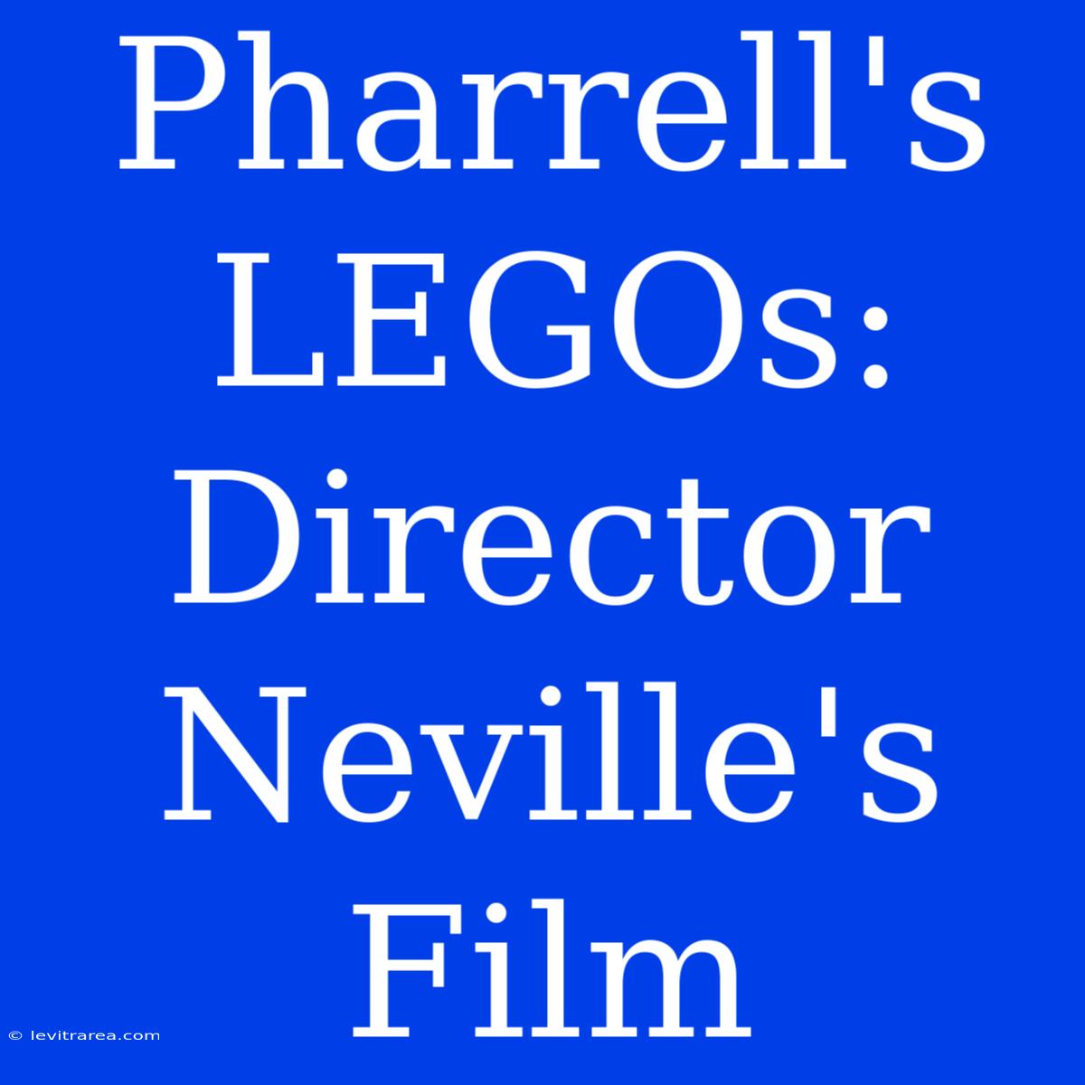 Pharrell's LEGOs: Director Neville's Film