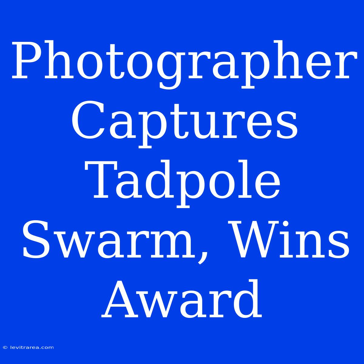 Photographer Captures Tadpole Swarm, Wins Award