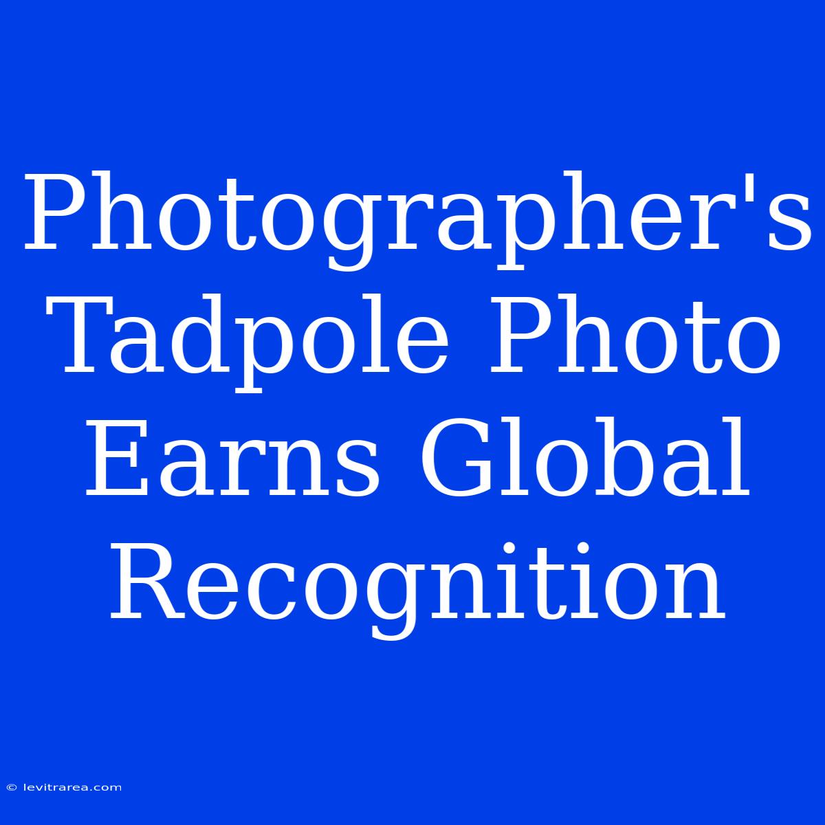 Photographer's Tadpole Photo Earns Global Recognition