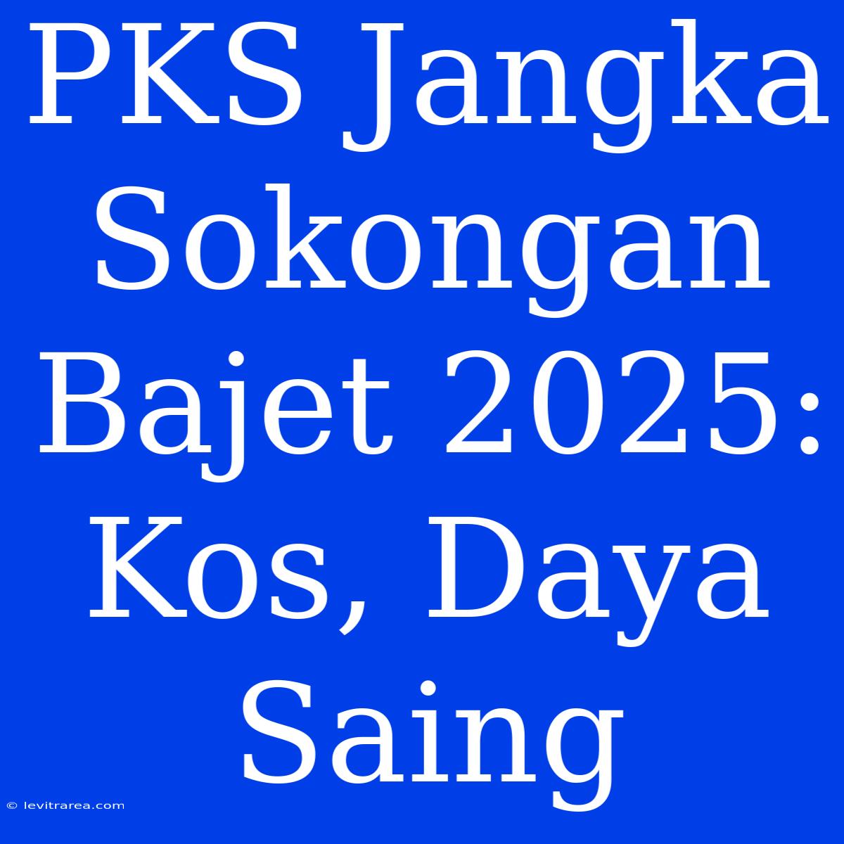 PKS Jangka Sokongan Bajet 2025: Kos, Daya Saing