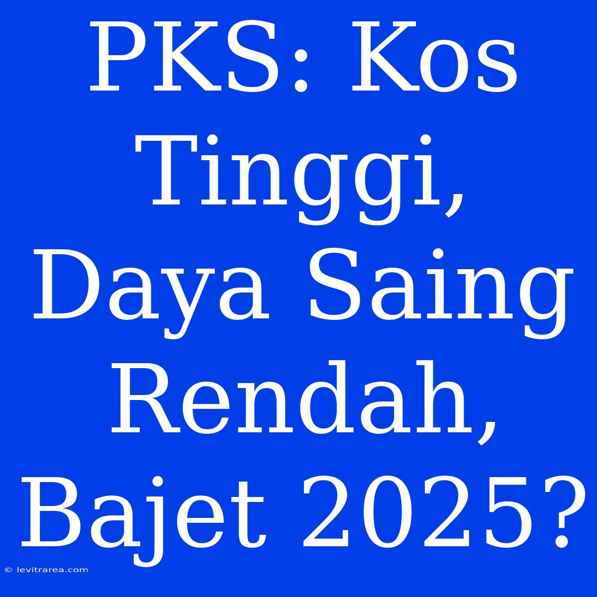 PKS: Kos Tinggi, Daya Saing Rendah, Bajet 2025?