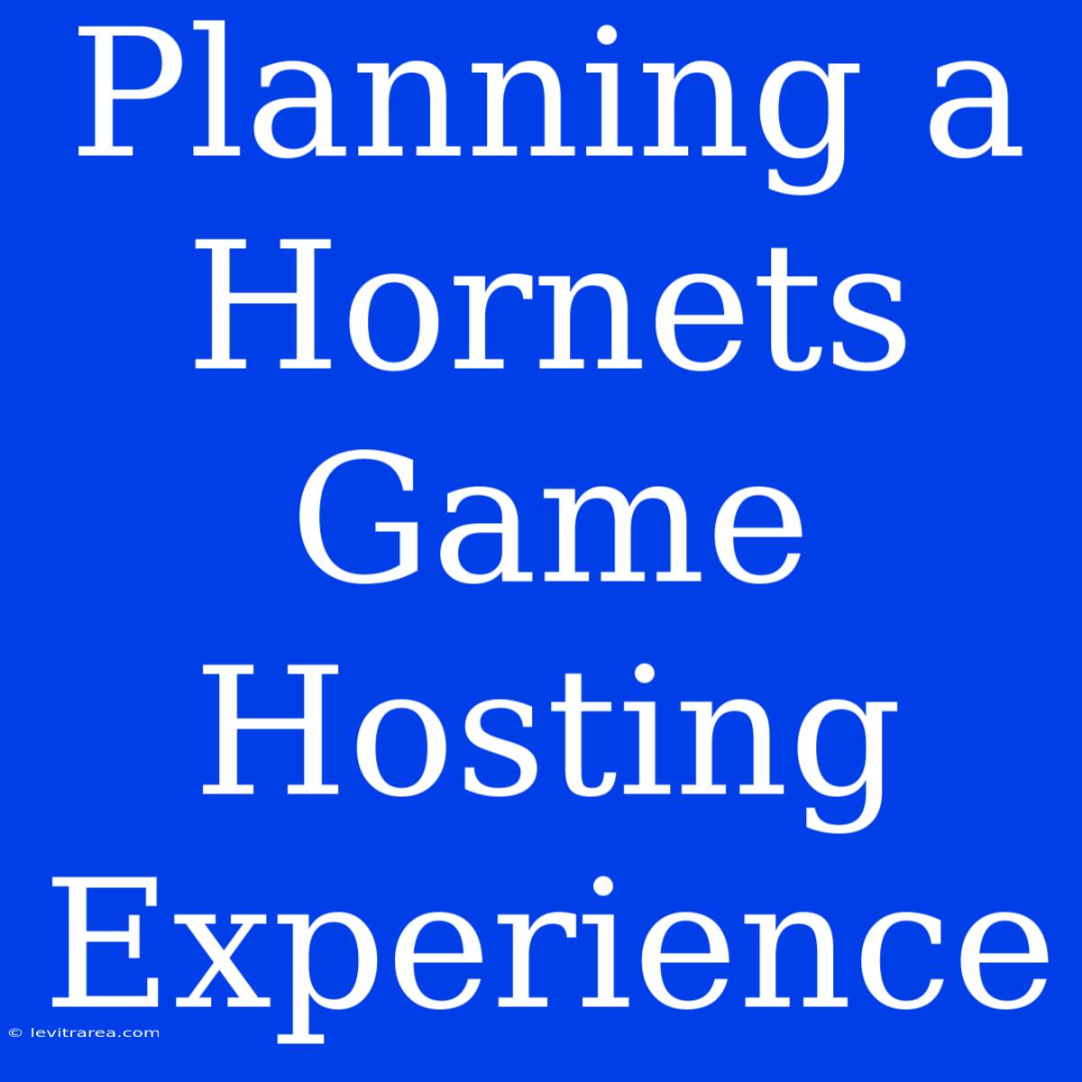 Planning A Hornets Game Hosting Experience