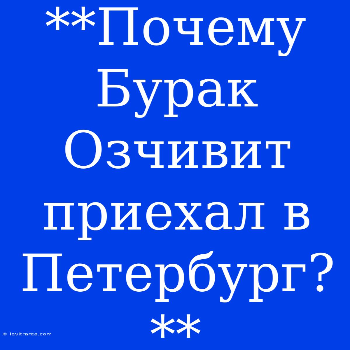 **Почему Бурак Озчивит Приехал В Петербург?**