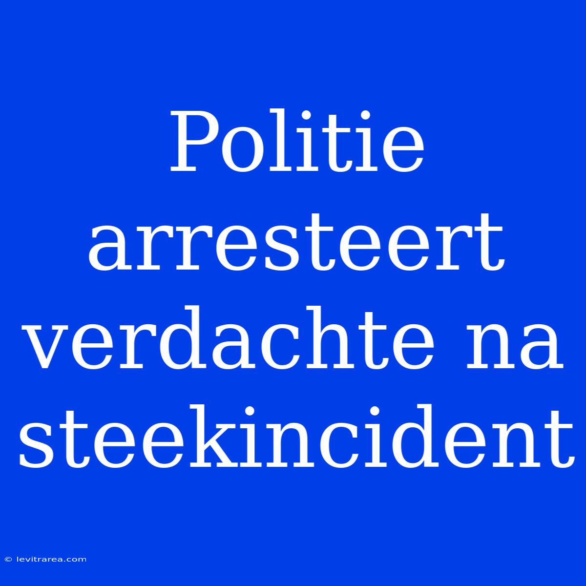 Politie Arresteert Verdachte Na Steekincident