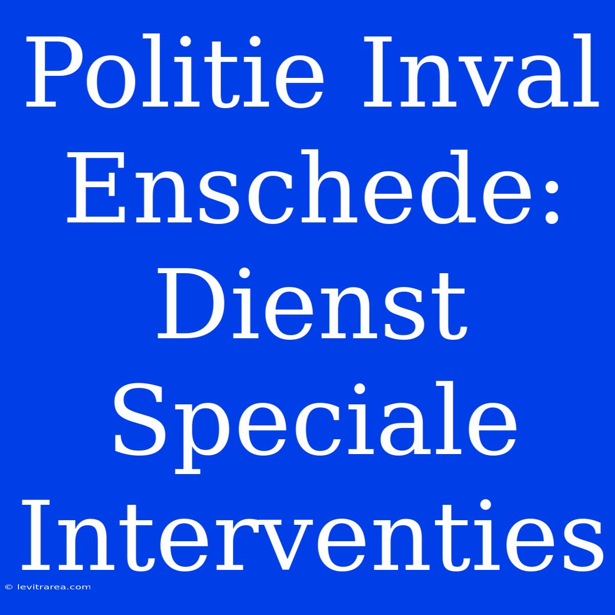 Politie Inval Enschede: Dienst Speciale Interventies