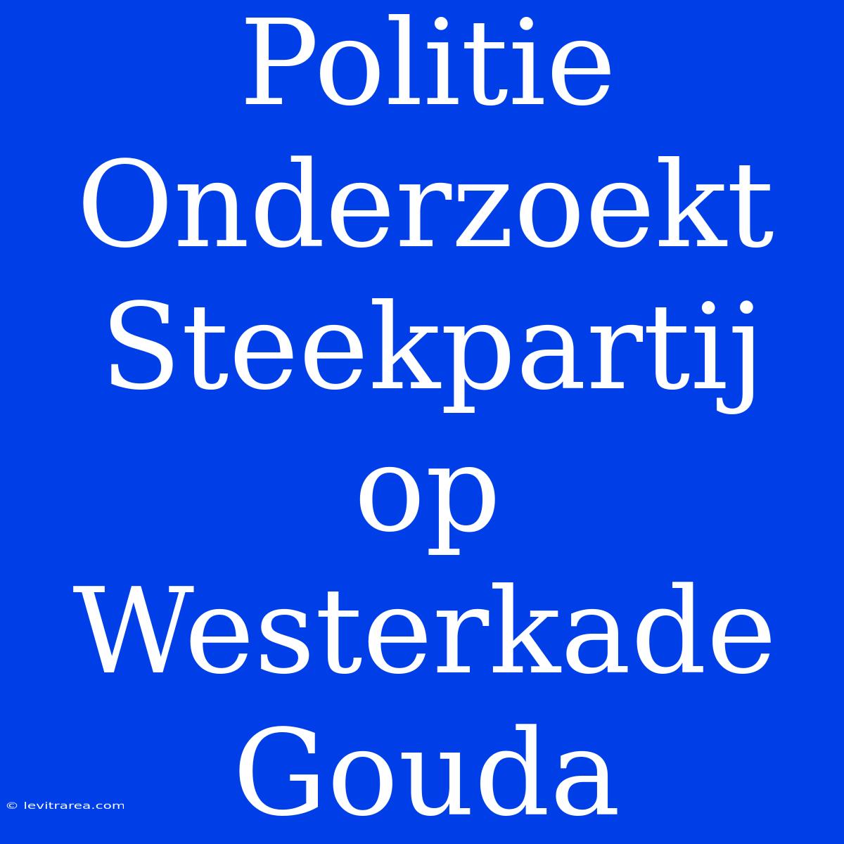 Politie Onderzoekt Steekpartij Op Westerkade Gouda