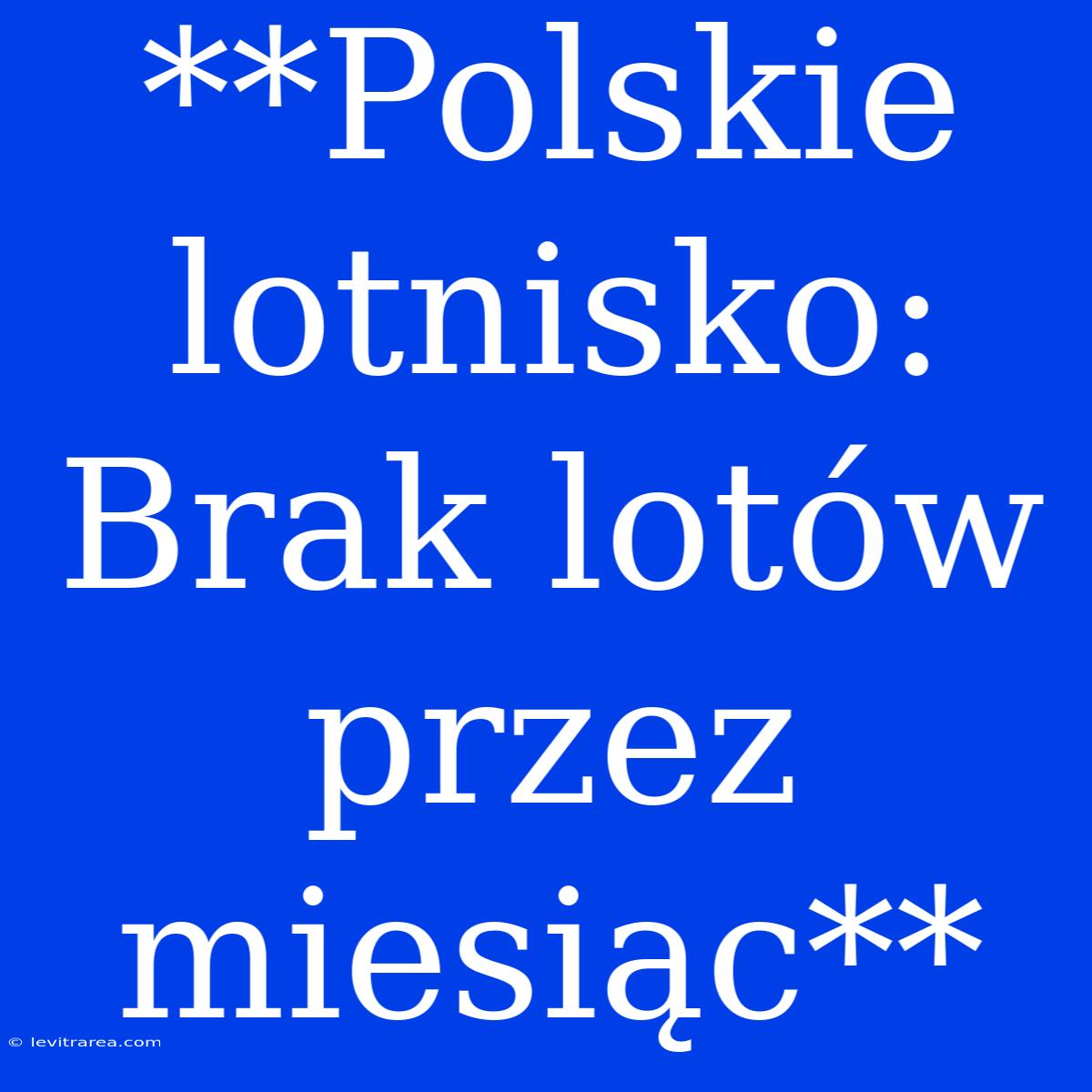 **Polskie Lotnisko:  Brak Lotów Przez Miesiąc**