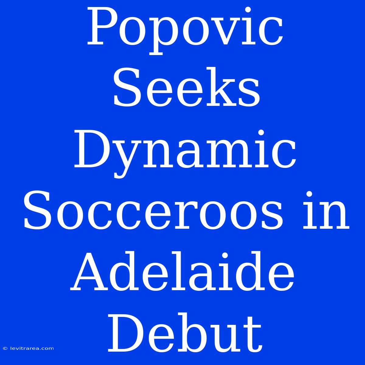 Popovic Seeks Dynamic Socceroos In Adelaide Debut