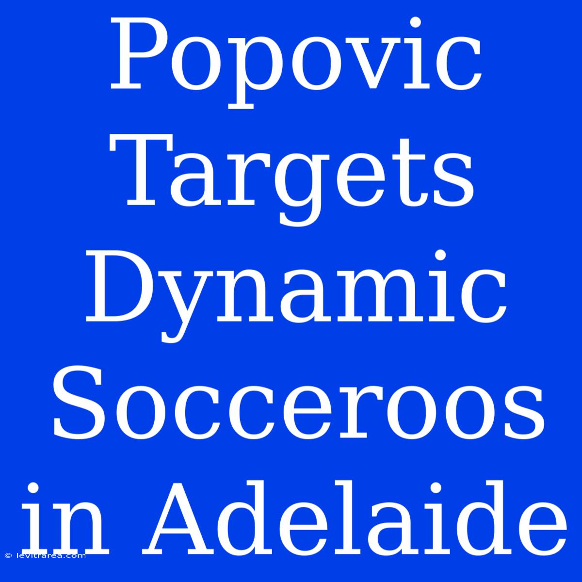 Popovic Targets Dynamic Socceroos In Adelaide