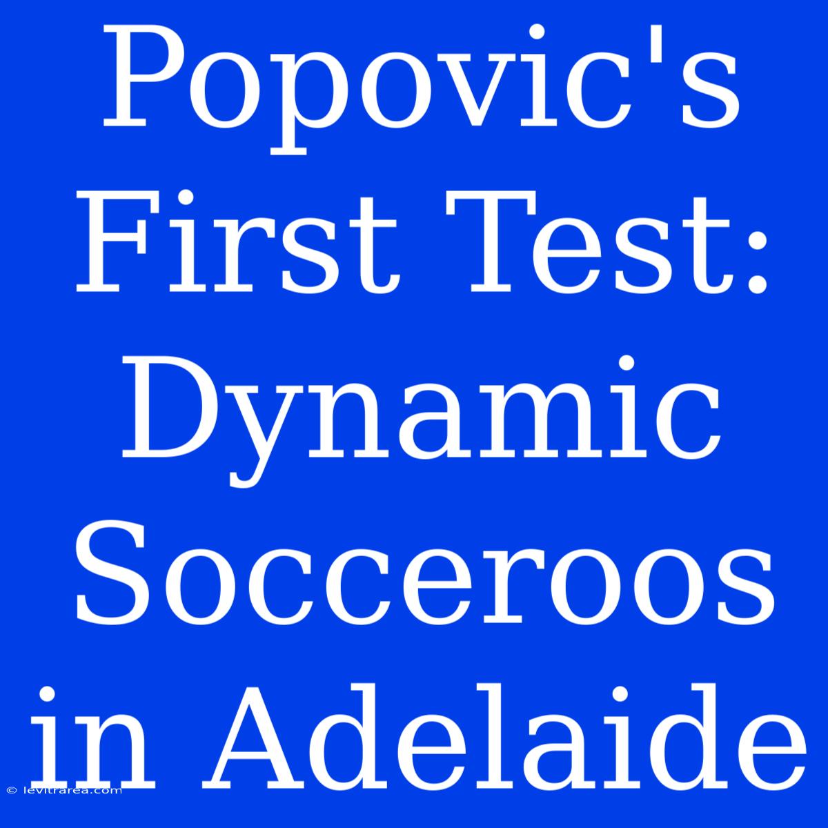 Popovic's First Test: Dynamic Socceroos In Adelaide