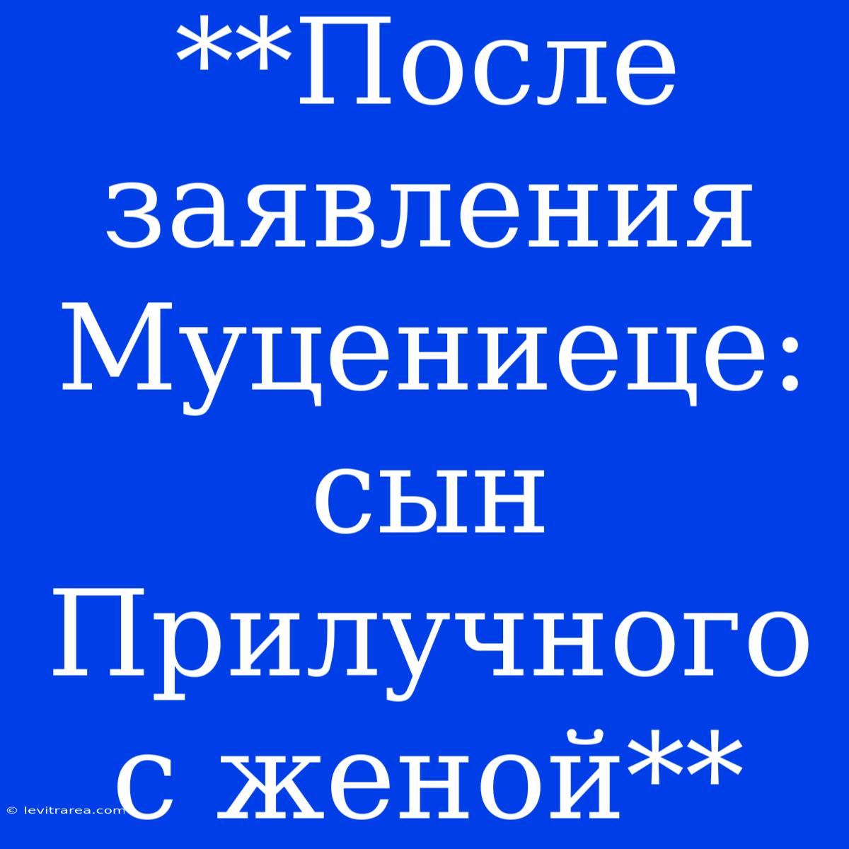 **После Заявления Муцениеце: Сын Прилучного С Женой**