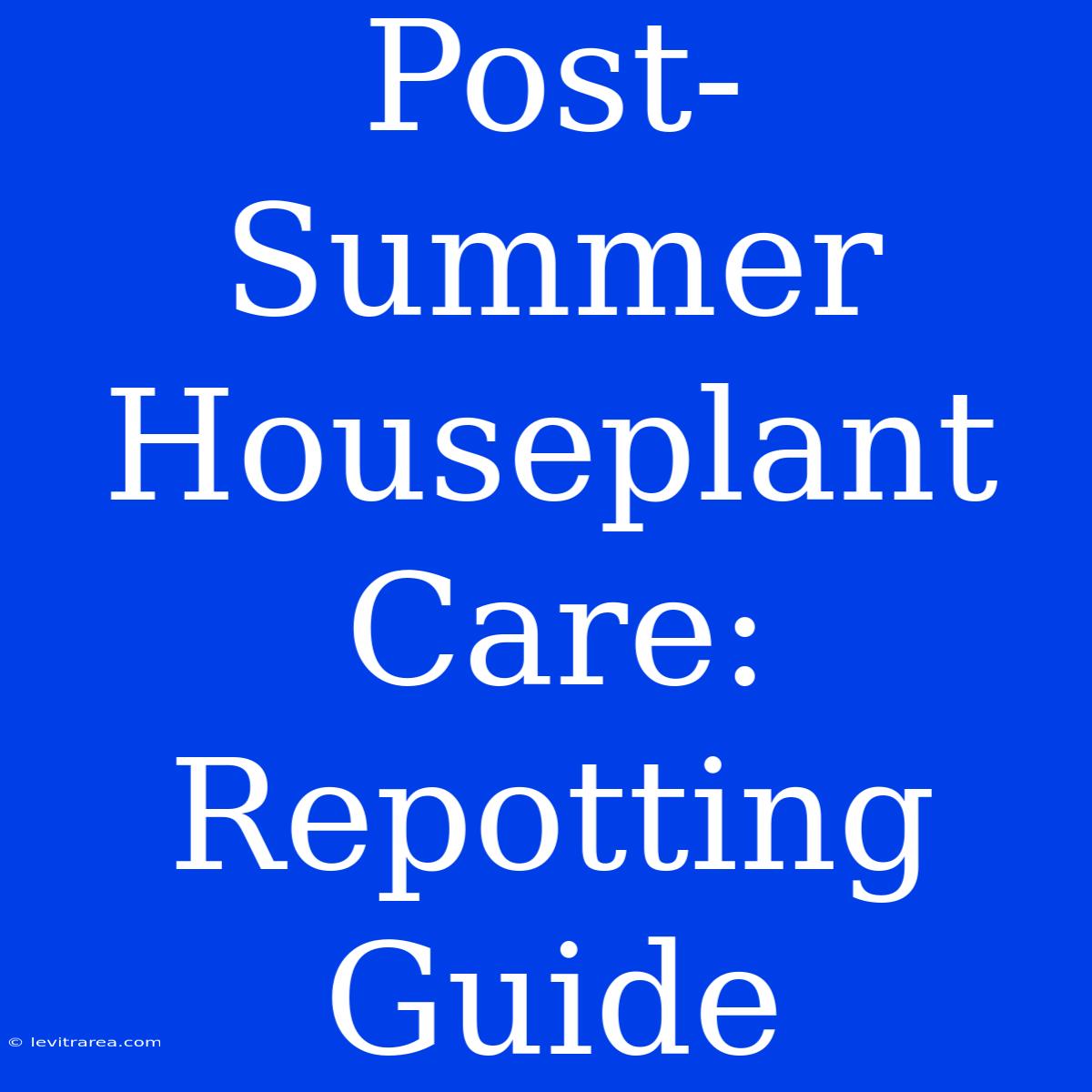 Post-Summer Houseplant Care: Repotting Guide