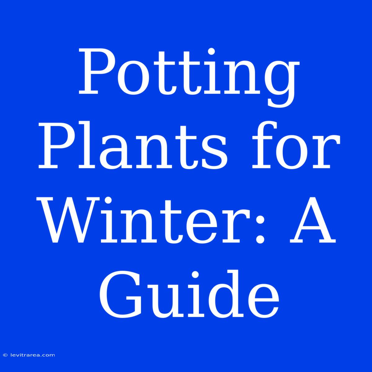 Potting Plants For Winter: A Guide