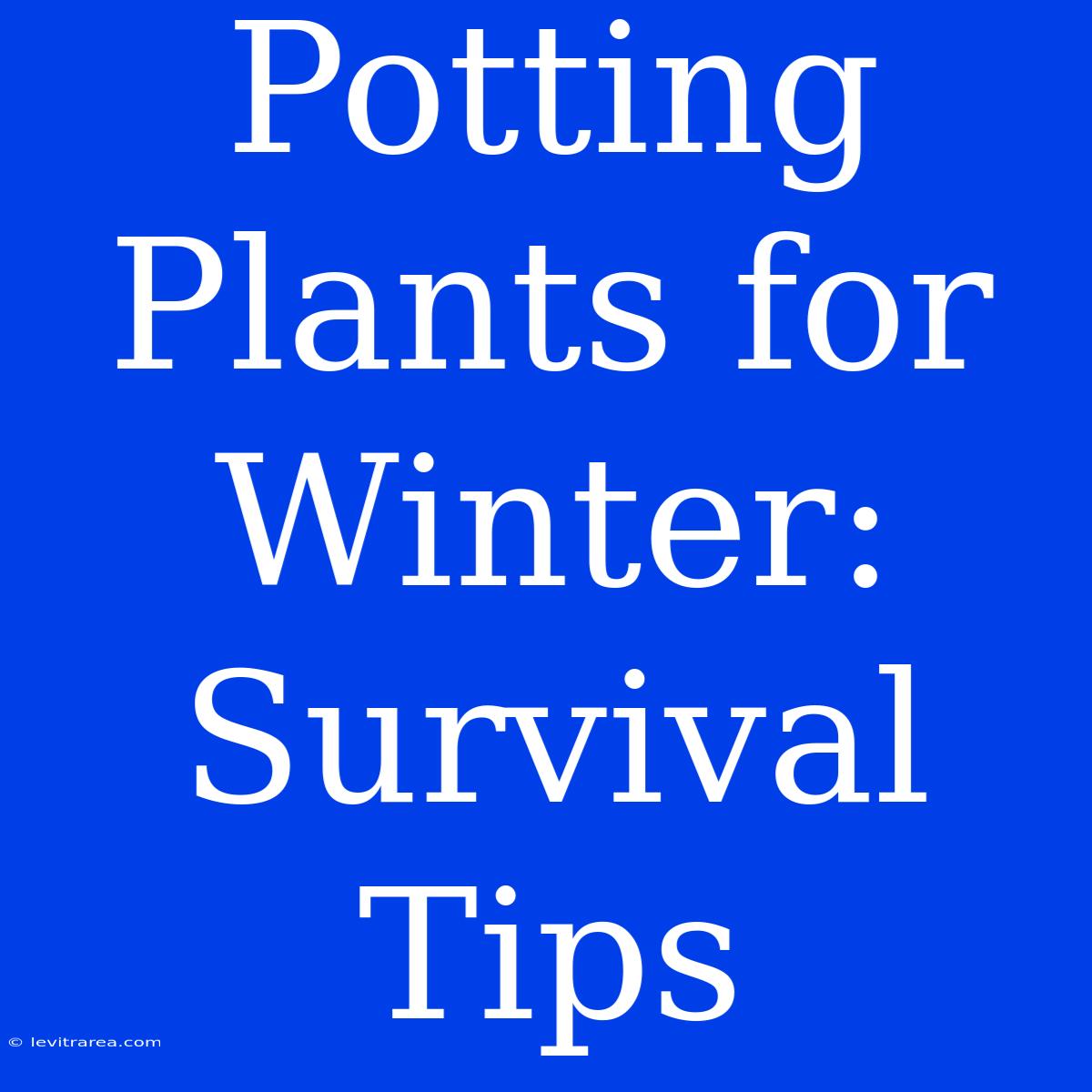 Potting Plants For Winter: Survival Tips