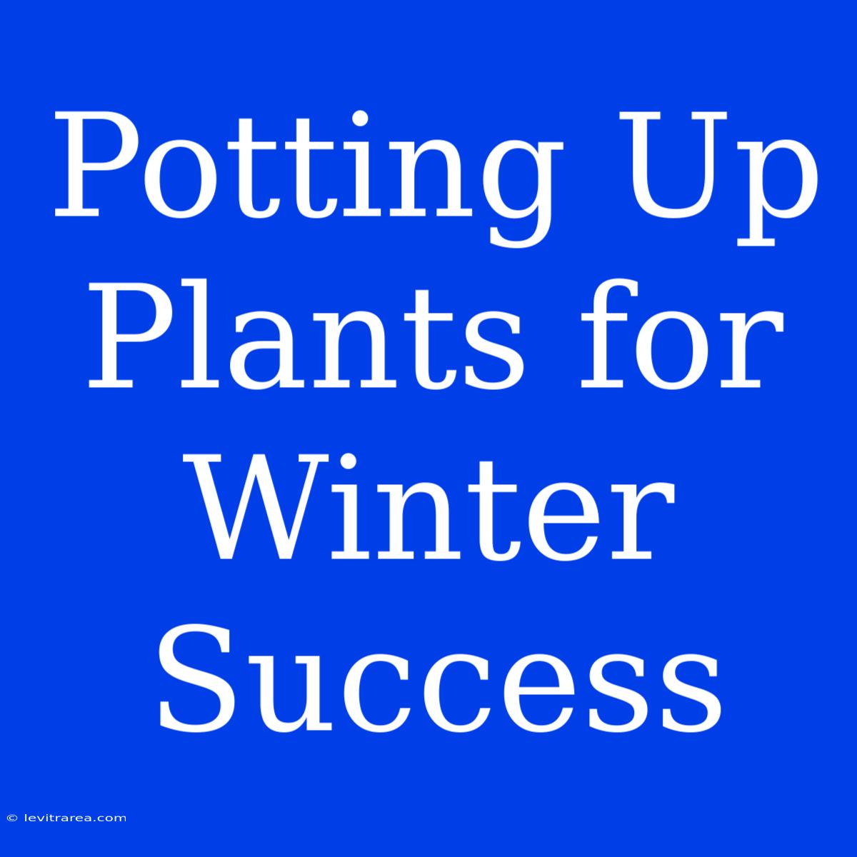 Potting Up Plants For Winter Success