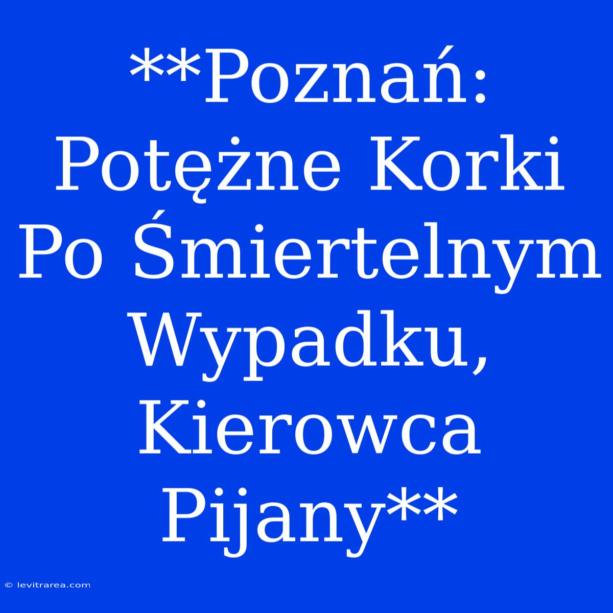 **Poznań: Potężne Korki Po Śmiertelnym Wypadku, Kierowca Pijany** 