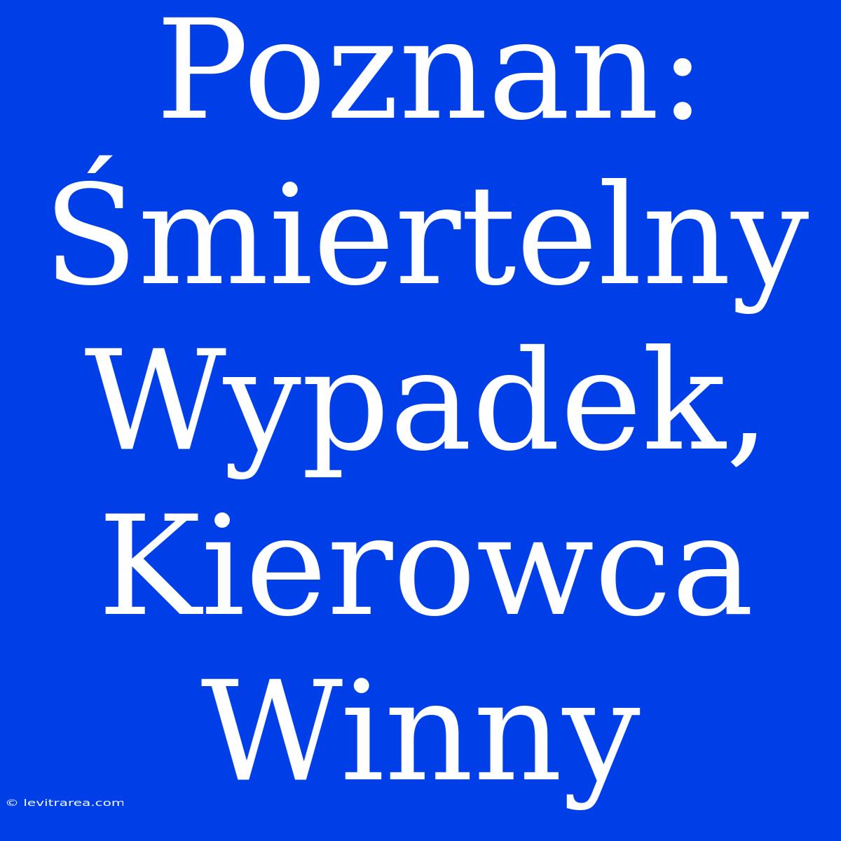 Poznan: Śmiertelny Wypadek, Kierowca Winny