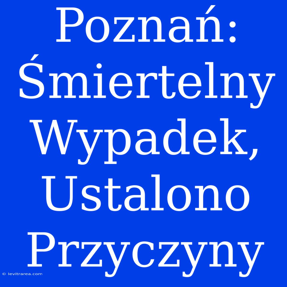 Poznań: Śmiertelny Wypadek, Ustalono Przyczyny