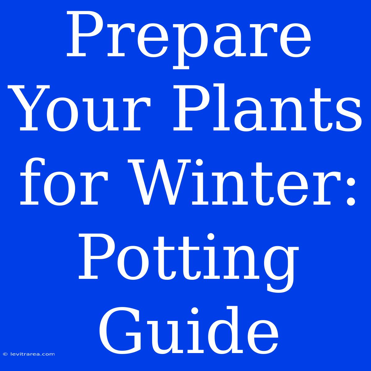 Prepare Your Plants For Winter: Potting Guide