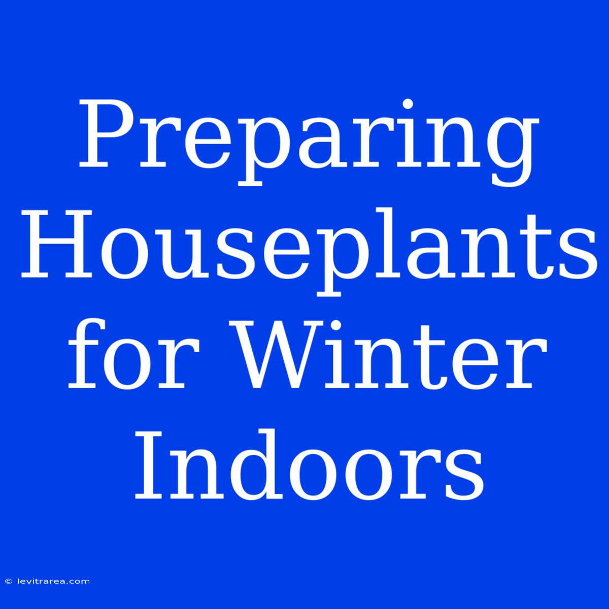 Preparing Houseplants For Winter Indoors 