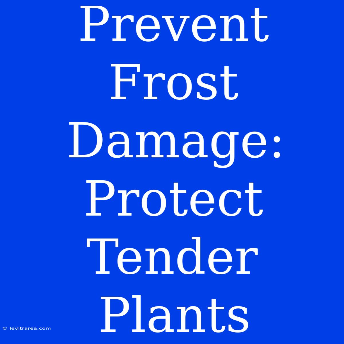 Prevent Frost Damage: Protect Tender Plants 