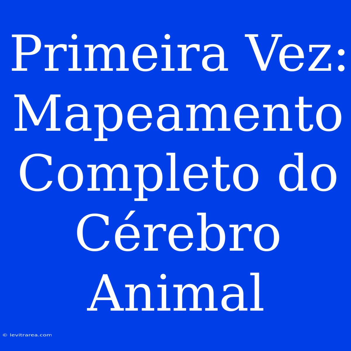 Primeira Vez: Mapeamento Completo Do Cérebro Animal