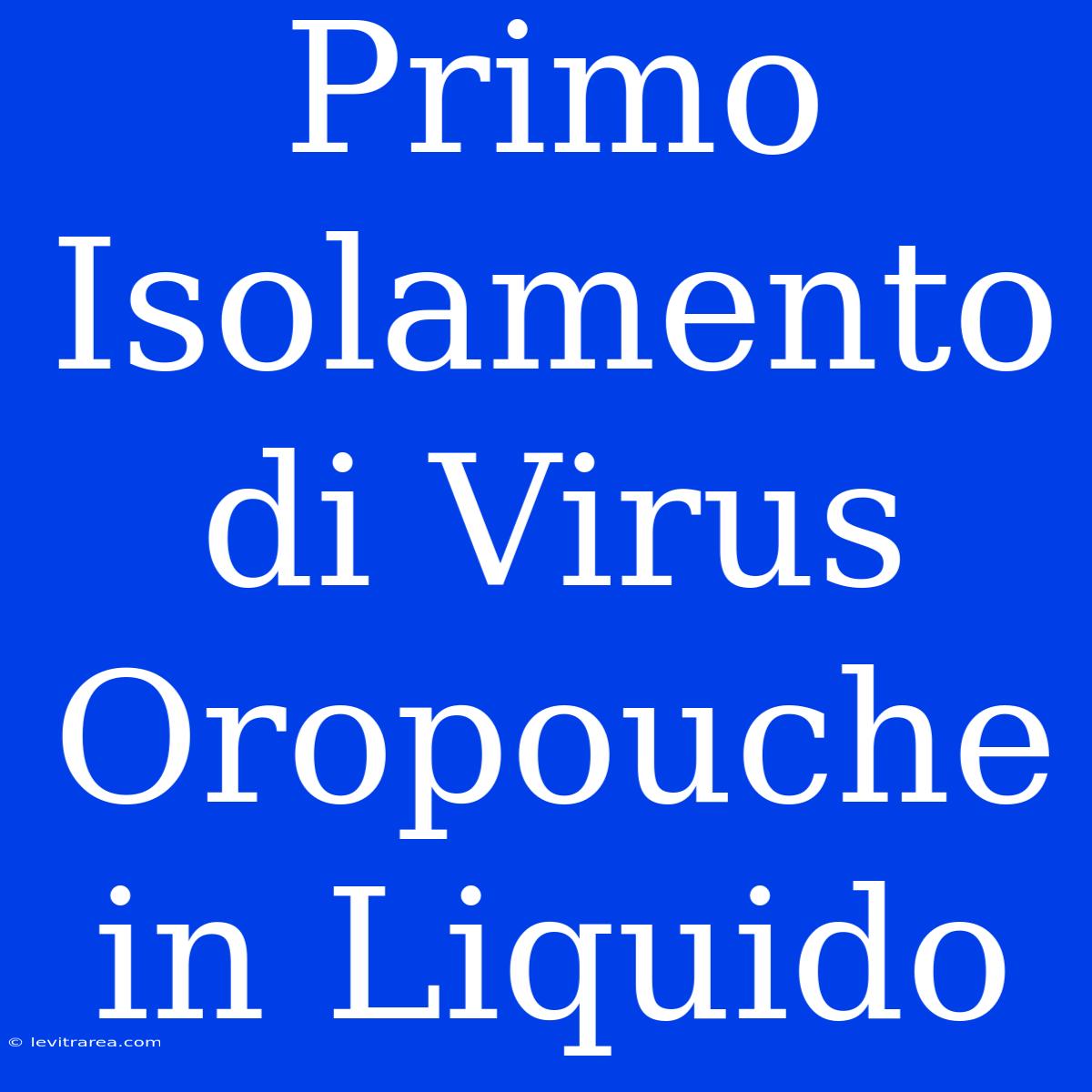 Primo Isolamento Di Virus Oropouche In Liquido