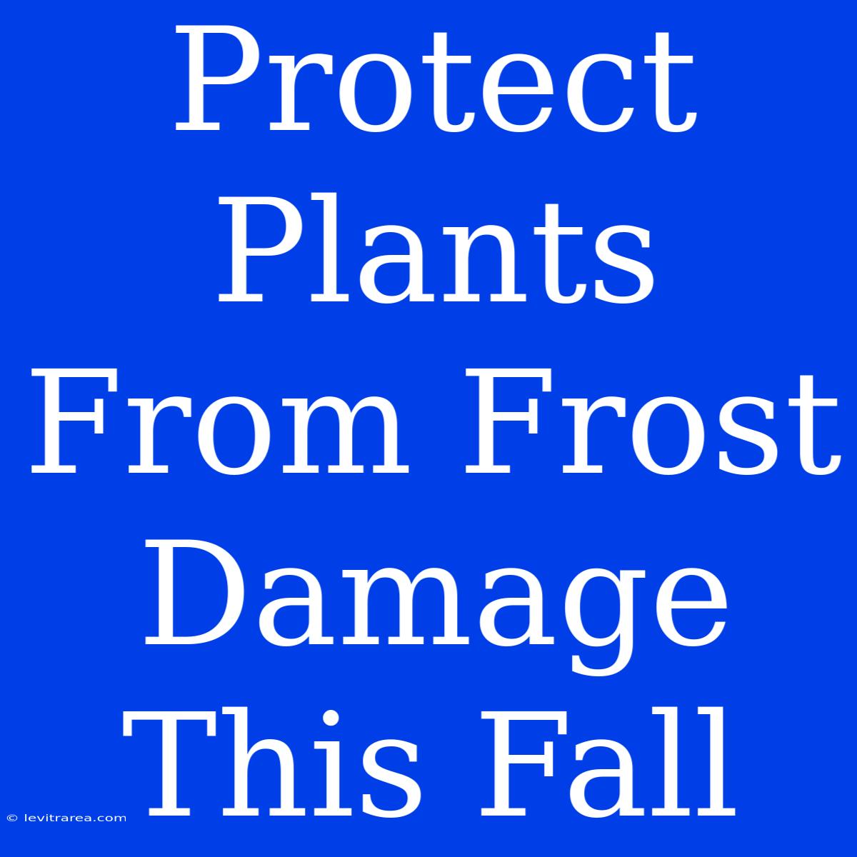 Protect Plants From Frost Damage This Fall