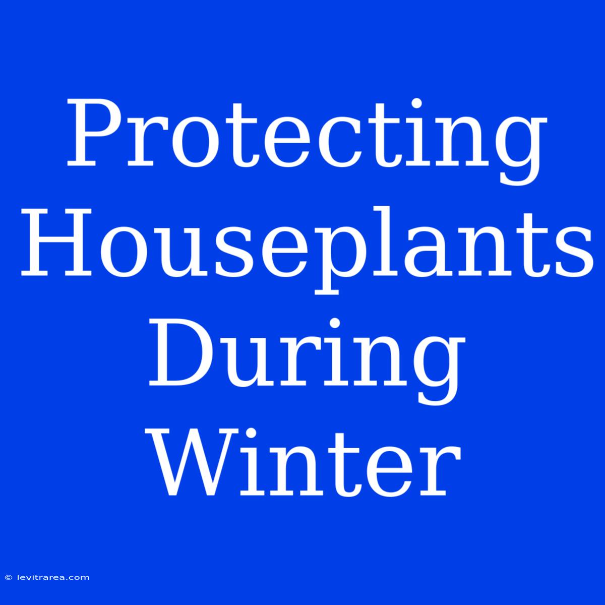 Protecting Houseplants During Winter