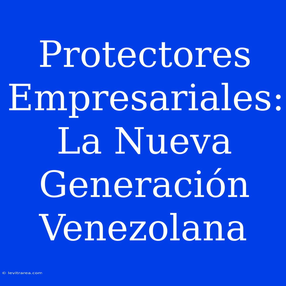 Protectores Empresariales: La Nueva Generación Venezolana