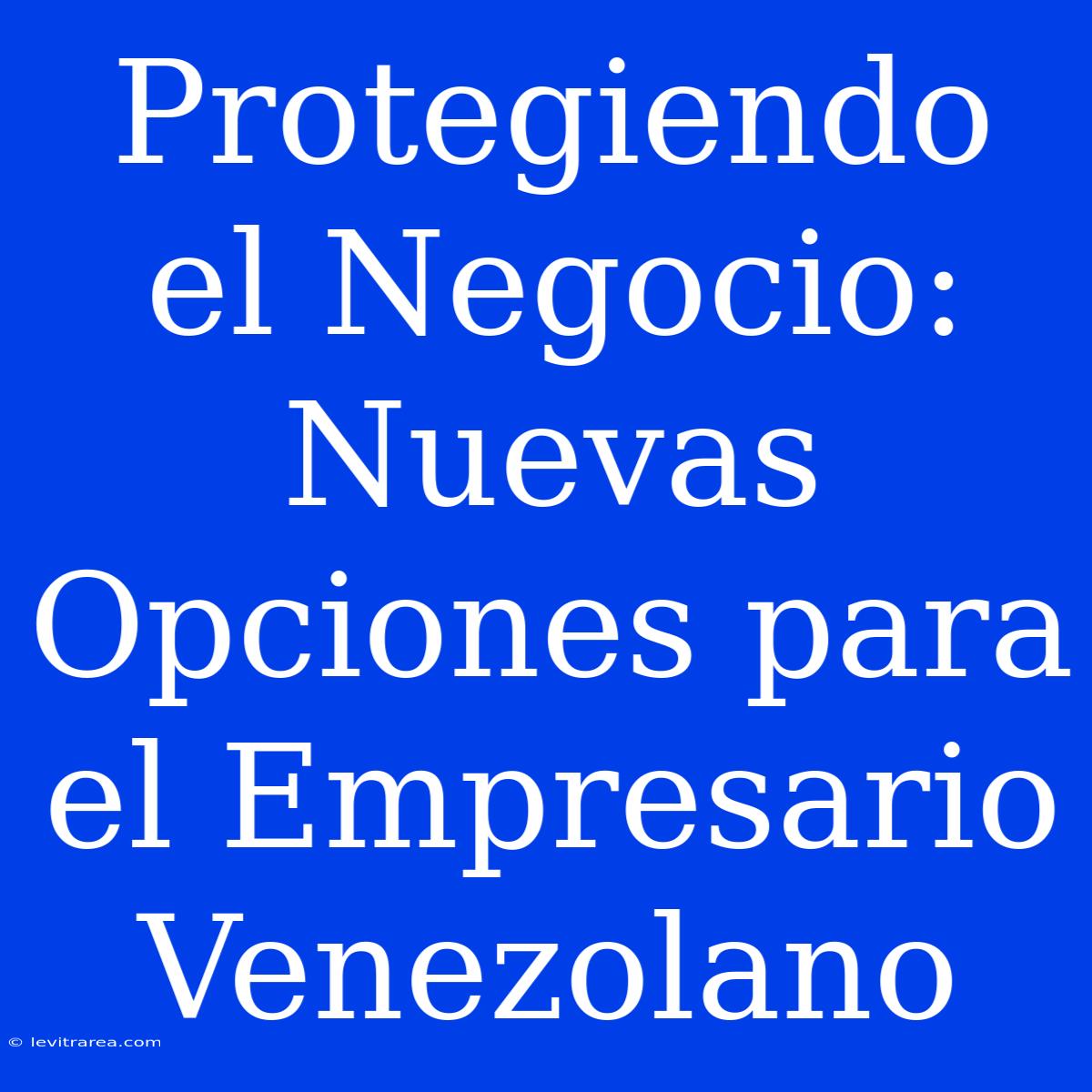 Protegiendo El Negocio: Nuevas Opciones Para El Empresario Venezolano