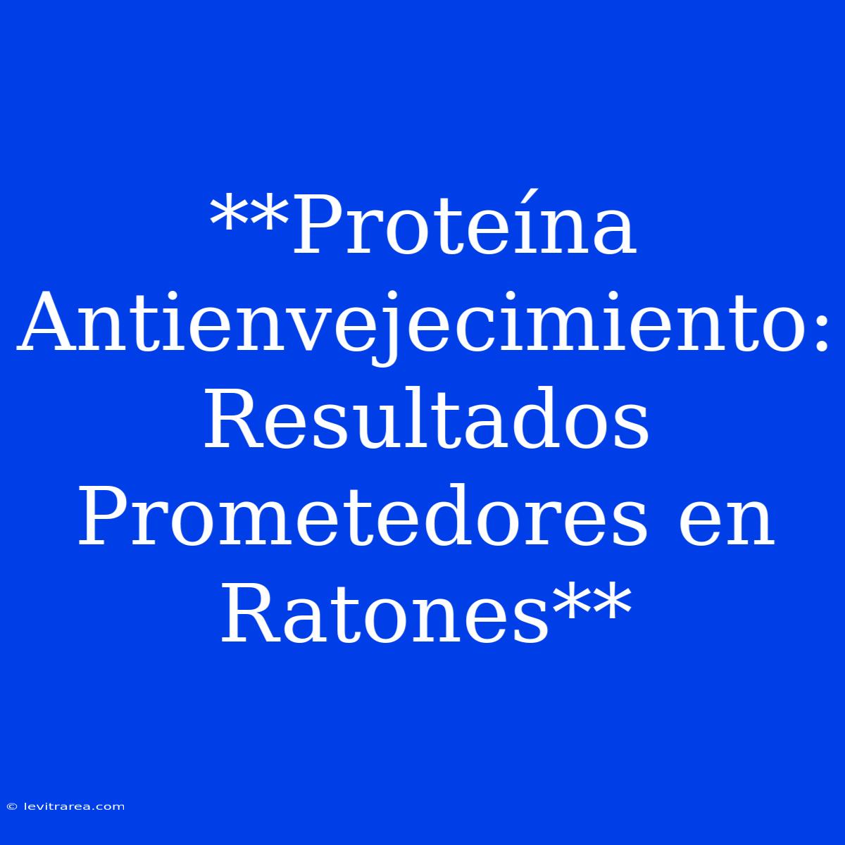 **Proteína Antienvejecimiento: Resultados Prometedores En Ratones**