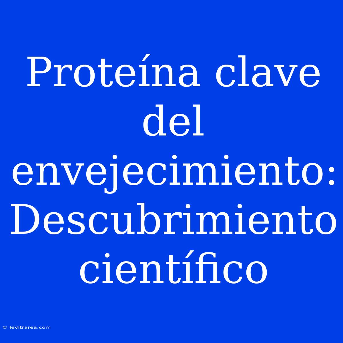 Proteína Clave Del Envejecimiento: Descubrimiento Científico