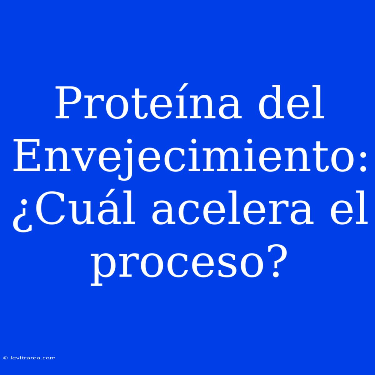 Proteína Del Envejecimiento: ¿Cuál Acelera El Proceso?