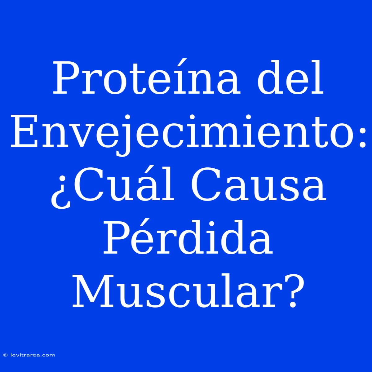 Proteína Del Envejecimiento: ¿Cuál Causa Pérdida Muscular?