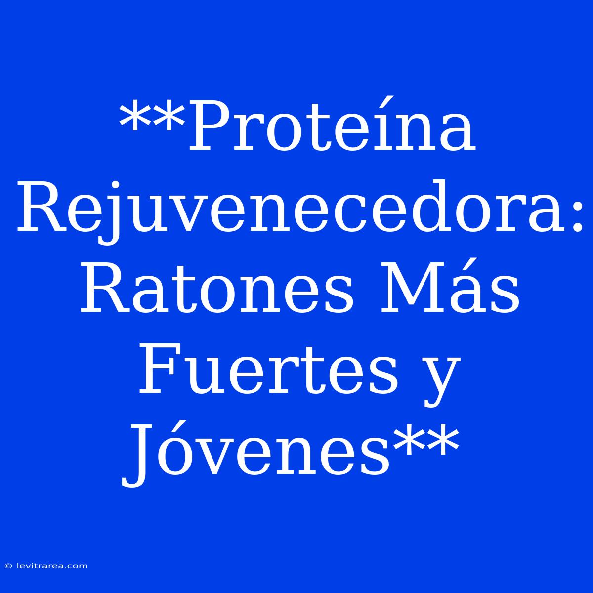 **Proteína Rejuvenecedora: Ratones Más Fuertes Y Jóvenes**