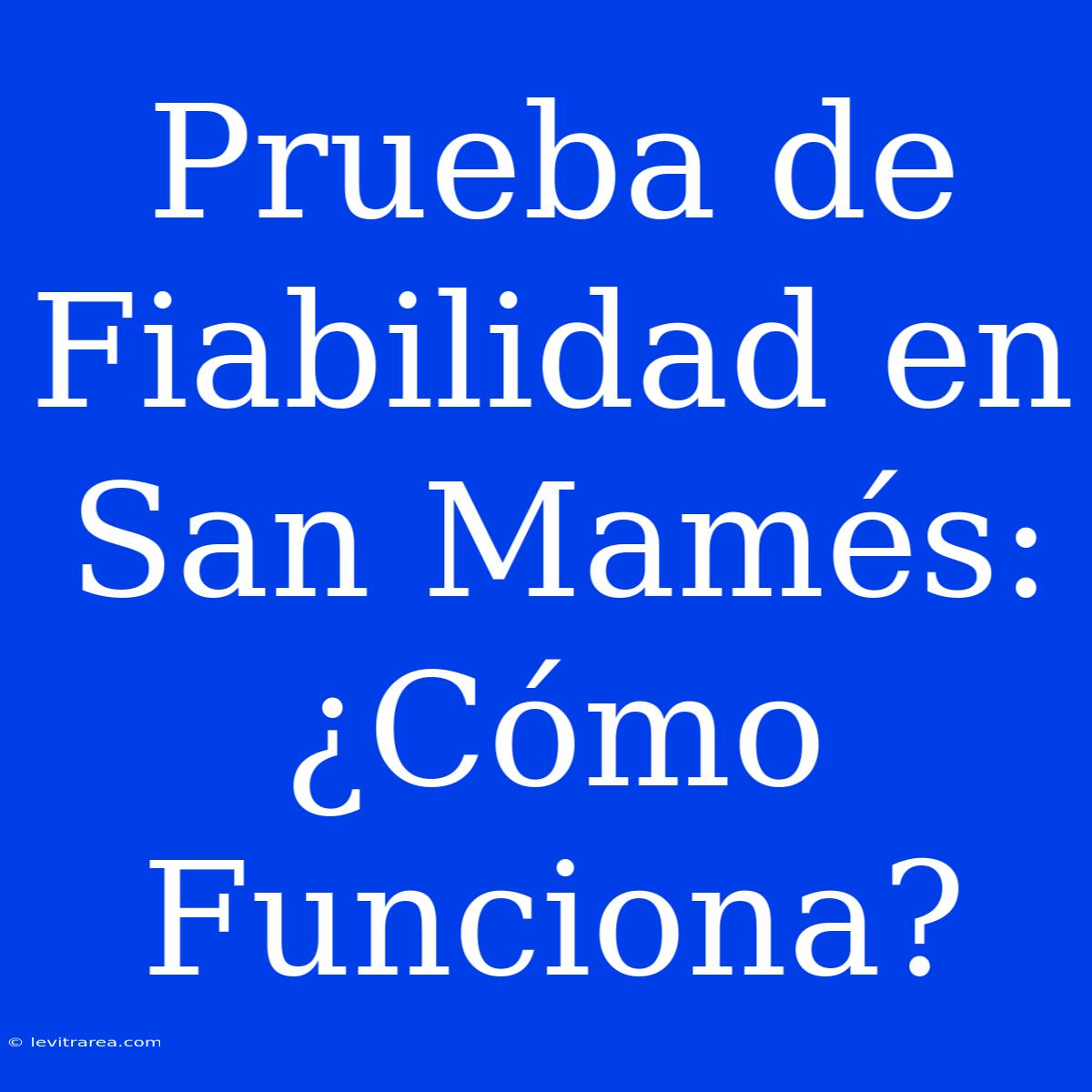 Prueba De Fiabilidad En San Mamés: ¿Cómo Funciona?