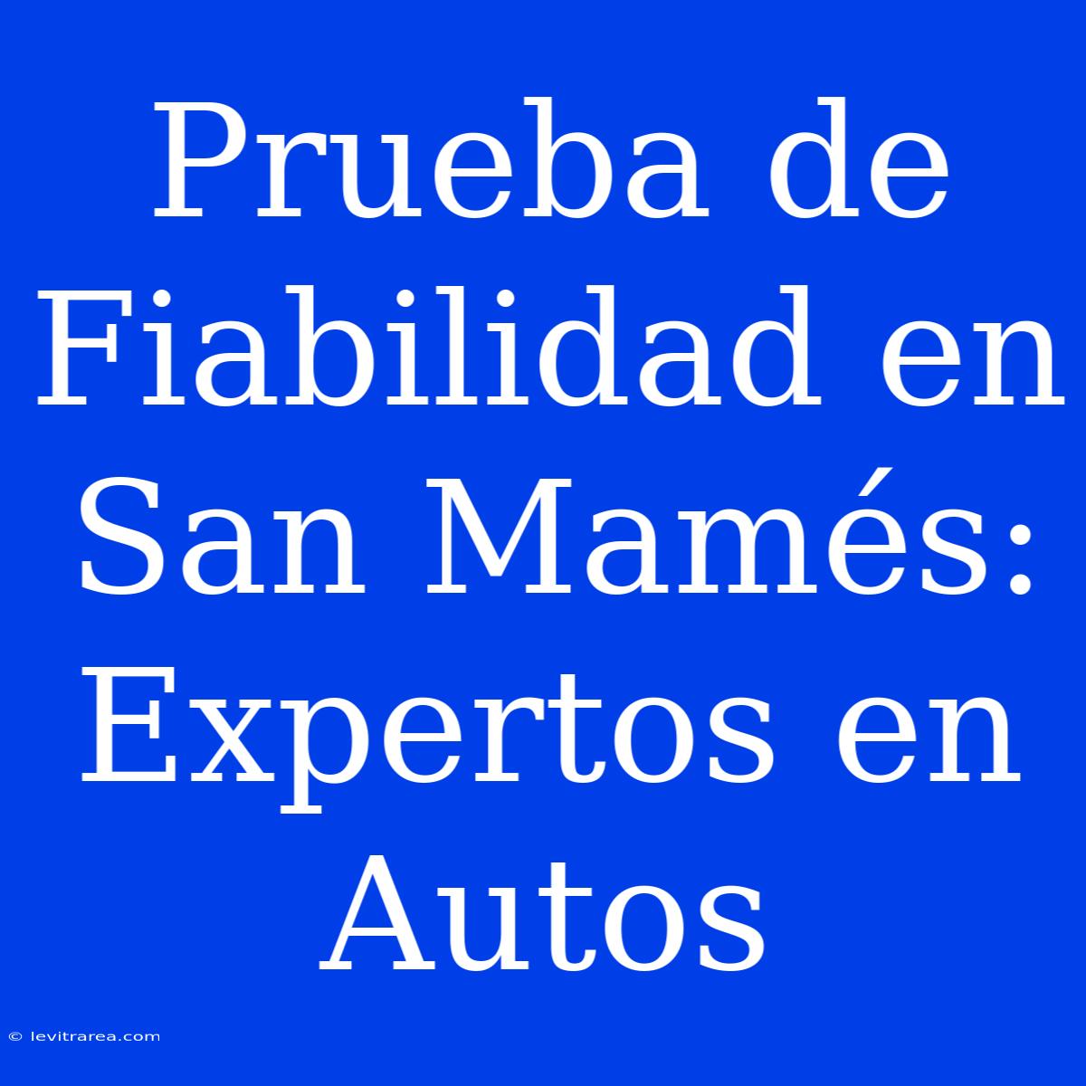 Prueba De Fiabilidad En San Mamés: Expertos En Autos