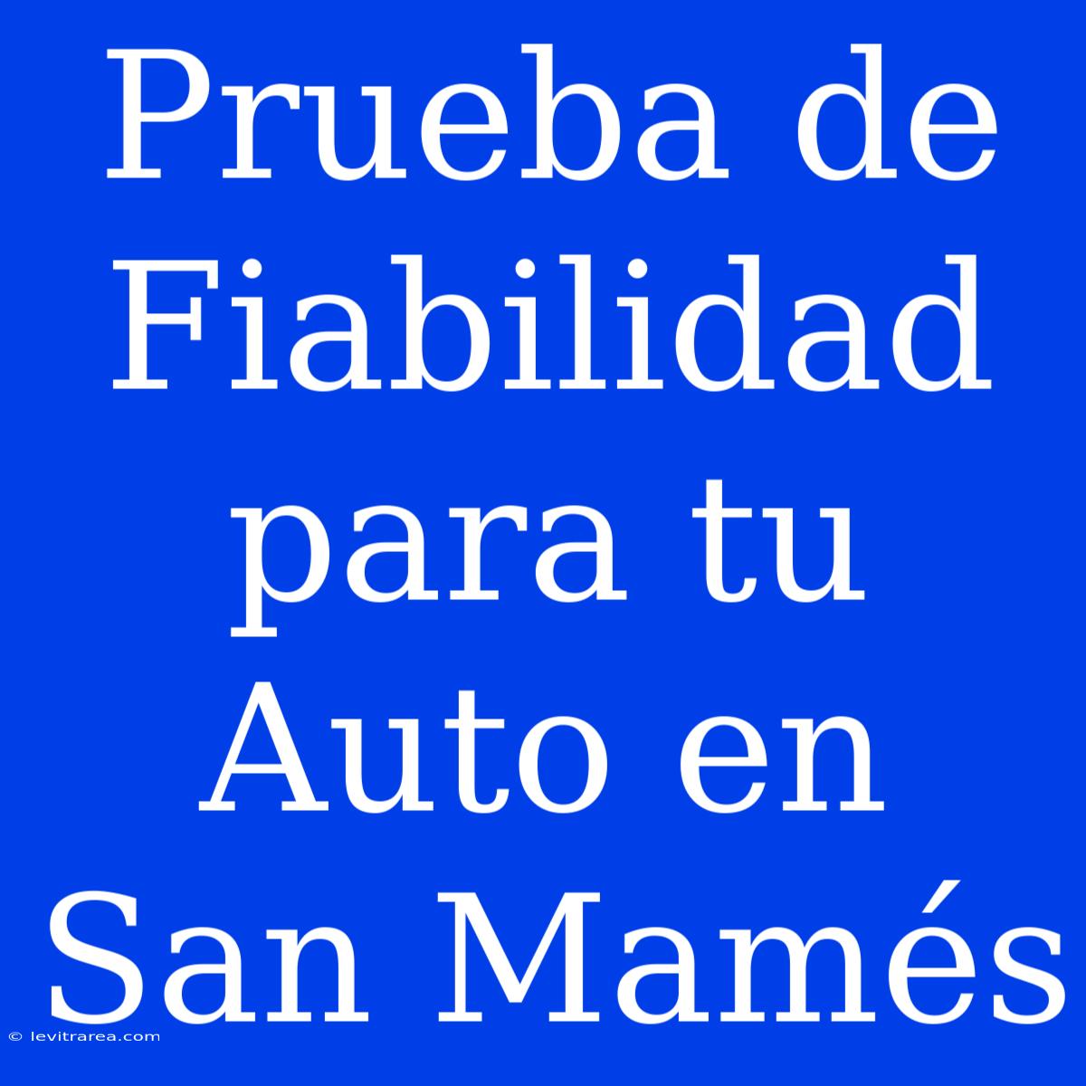 Prueba De Fiabilidad Para Tu Auto En San Mamés